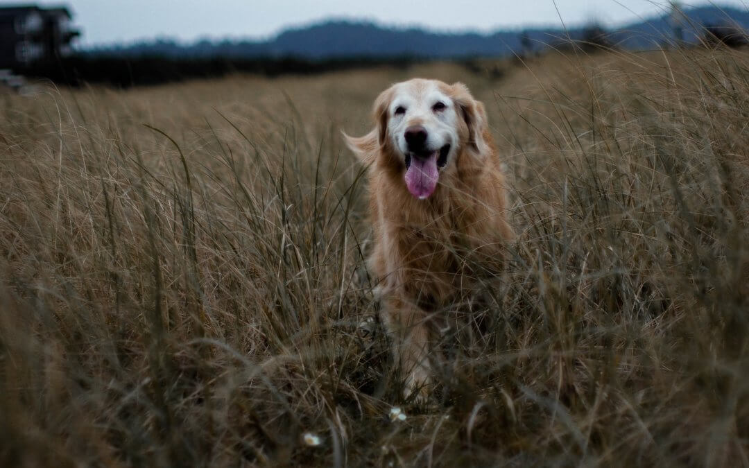 Are you arthritis aware?